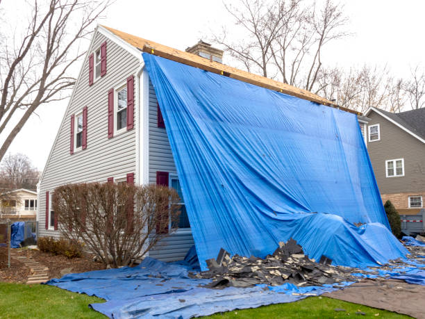 Best Stucco Siding  in West Alexandria, OH